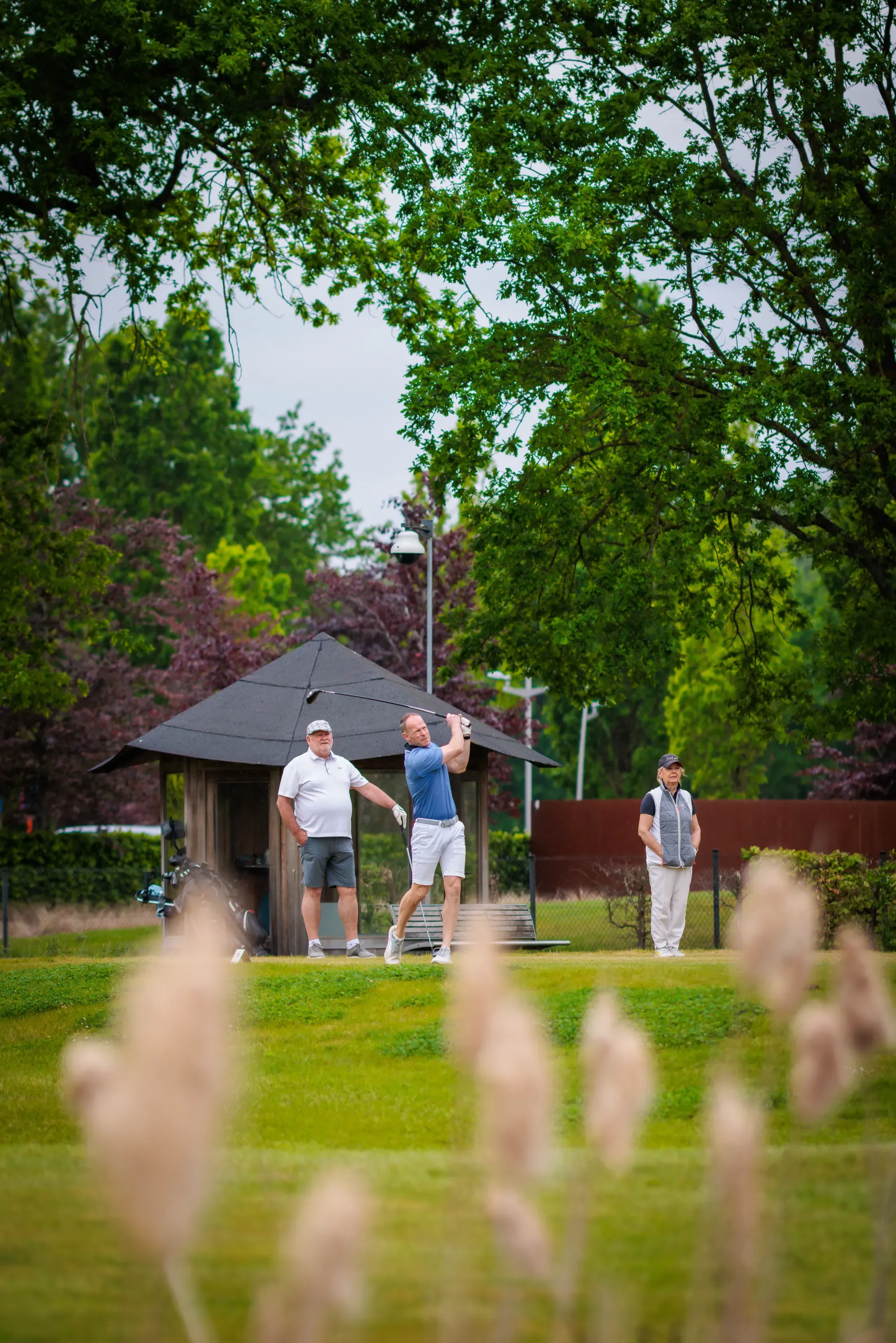 Golfer op de fairway met ganzen bij het clubhuis